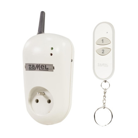 Gniazdo zdalnie sterowane z pilotem RWG-01K EXTA FREE